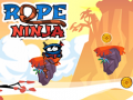 Spel Rep Ninja på nätet