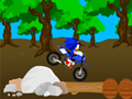 Spel Korsande Sonic Race på nätet