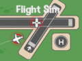 Spel Flygsimulator på nätet