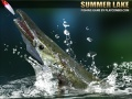 Spel Sommar Insjö på nätet