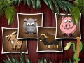 Spel Djurformer 3 på nätet