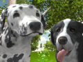 Spel Hund Simulator 3D på nätet