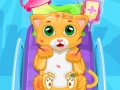 Spel Liten Katt Doktor på nätet
