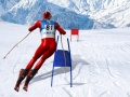 Spel Slalom Skisimulator på nätet