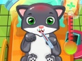 Spel Katt Doktor på nätet