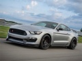 Spel Mustang Shelby Pussel på nätet