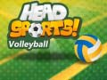Spel Head Sports Volleyboll på nätet