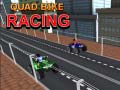Spel  fyrhjulingsracing på nätet