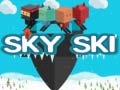 Spel Himmel Skid på nätet