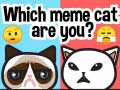 Spel Vilken meme-katt är du? på nätet
