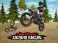 Spel Enduro Racing på Terrängmotorcykel på nätet