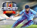 Spel Cricket 2020 på nätet