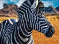 Spel Zebrajägare på nätet