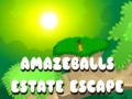 Spel Fantastisk Flykt från Godset på nätet