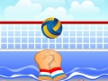 Spel Volleyboll på nätet