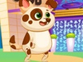 Spel Fin Virtuell Hund på nätet