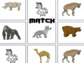 Spel Match på nätet