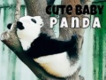 Spel Söt baby panda på nätet