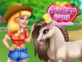 Spel Audrey Pony Förskola på nätet