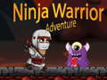 Spel Ninja Krigarens Äventyr på nätet