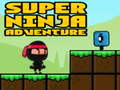 Spel Super Äventyr Ninja på nätet