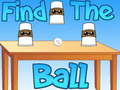 Spel Hitta bollen på nätet