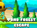 Spel Pond Forest Escape på nätet