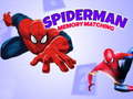 Spel Spiderman Minnesspel på nätet