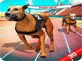 Spel Galet hundlopp på nätet