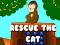 Spel Rädda katten på nätet