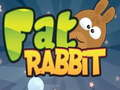 Spel Tjock Kanin på nätet