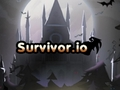 Spel Överlevare.io på nätet