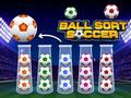Spel Bolls sortering Fotboll på nätet