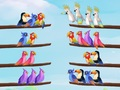 Spel Fågel Sortera Pussel på nätet