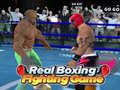 Spel Ett Riktigt Boxningsspel på nätet