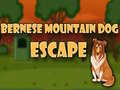 Spel Bernese Mountain Dog Rymning på nätet