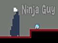Spel Ninja Kille på nätet