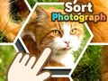 Spel Sortera fotografier på nätet
