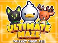 Spel Ultimate Labyrint! Samla dem alla! på nätet