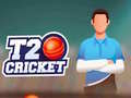 Spel T20 Cricket på nätet