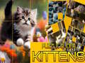 Spel Pussel Glidande Katter på nätet