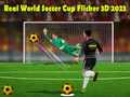 Spel Verkliga Världsmästerskapet i Fotboll Flicker 3D 2023 på nätet