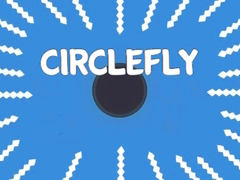 Spel Cirkelflygning på nätet