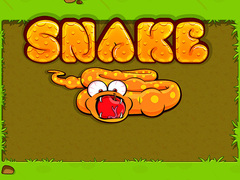 Spel Orm på nätet
