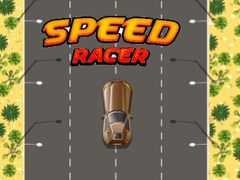 Spel Snabb Racer på nätet