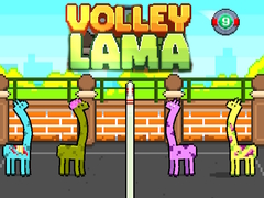 Spel Volley Lama på nätet