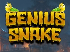 Spel Genius Orm på nätet