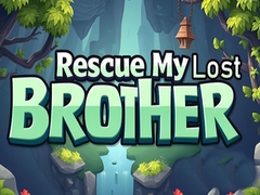 Spel Rädda min förlorade bror på nätet
