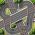 Circuit racing  online
