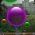 Bubblor  online